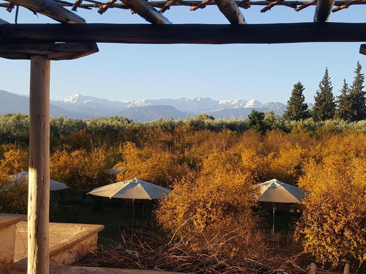 Jnane Tihihit Bed & Breakfast Lalla Takerkoust Exterior foto